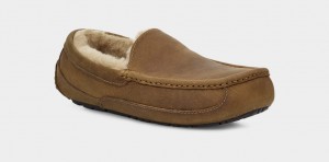 Mocasini Ugg Ascot Matte Piele Barbati Maro | 3675UEMZX