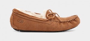 Papuci Ugg Olsen Barbati Maro | 5317TUZFW