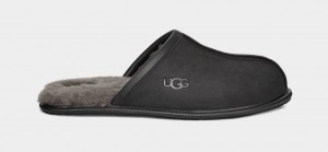 Papuci Ugg Scuff Piele Barbati Negrii | 0381MZJHV