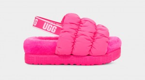 Sandale Ugg Scrunchita Dama Roz | 9214AOKUV