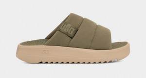 Slapi Ugg Maxxer Barbati Verzi | 6950UMRQL