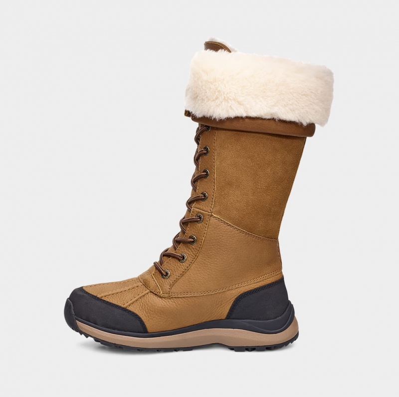 Cizme Ugg Adirondack III Cizme Inalte Dama Maro | 7981DVKLC