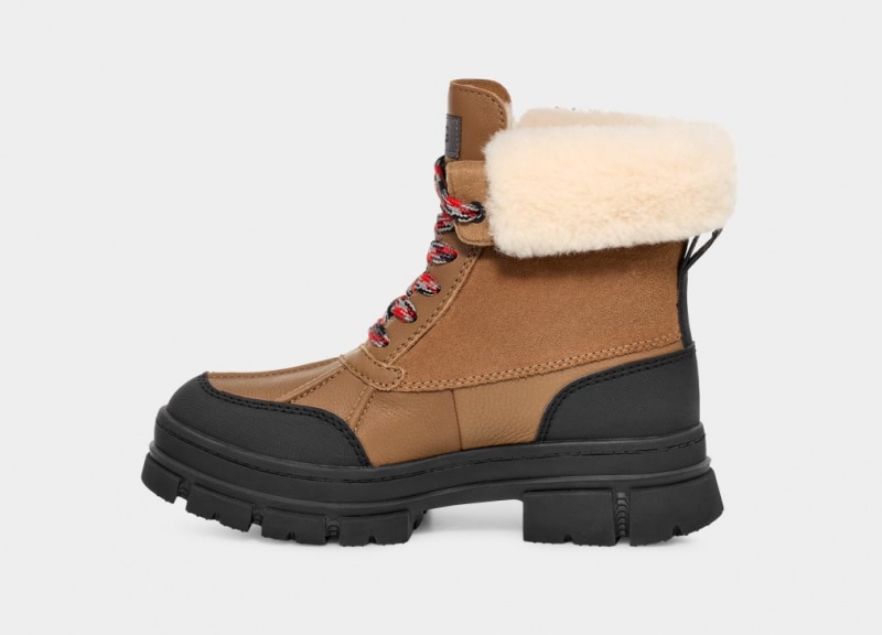 Cizme Ugg Ashton Addie Dama Maro | 1207XGVYJ