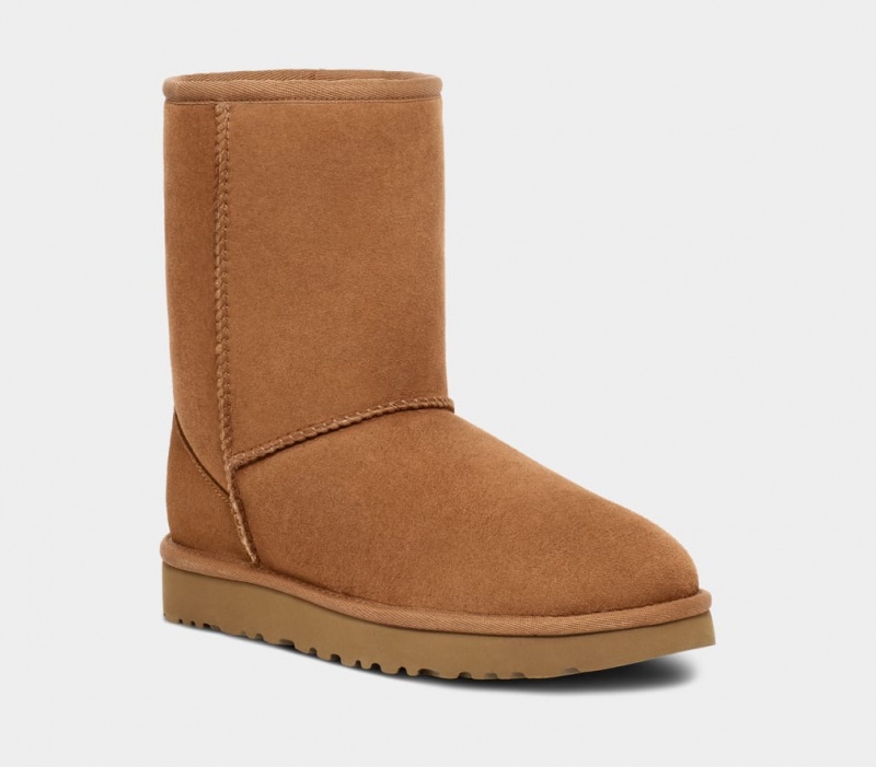 Cizme Ugg Clasici Barbati Maro | 4251NKOLM