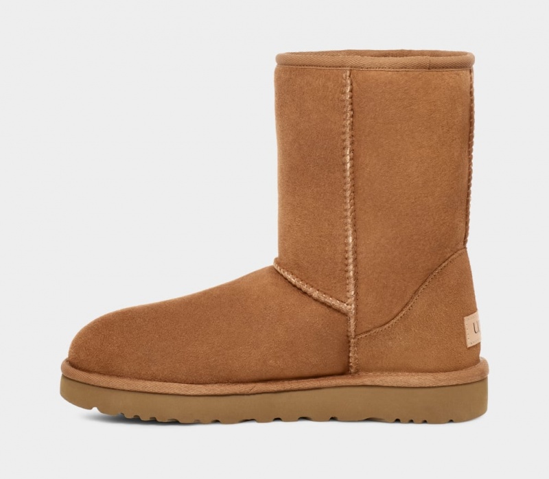 Cizme Ugg Clasici Barbati Maro | 4251NKOLM