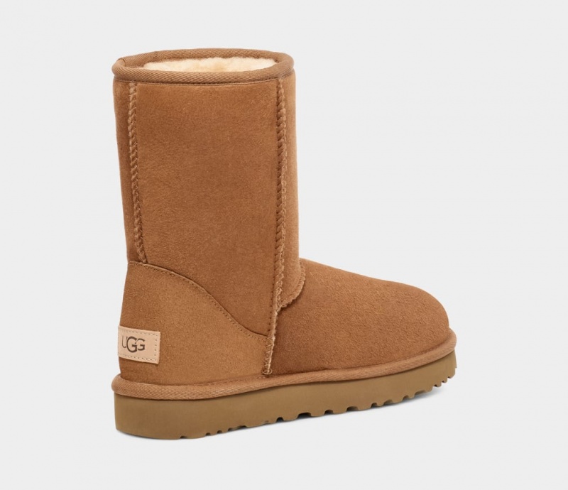 Cizme Ugg Clasici Barbati Maro | 4251NKOLM