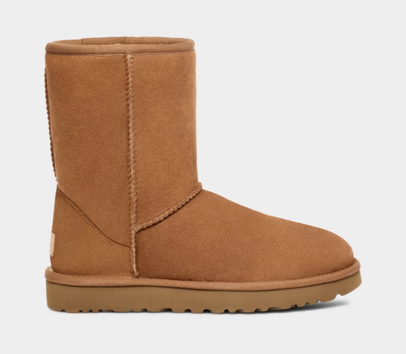 Cizme Ugg Clasici Barbati Maro | 4251NKOLM