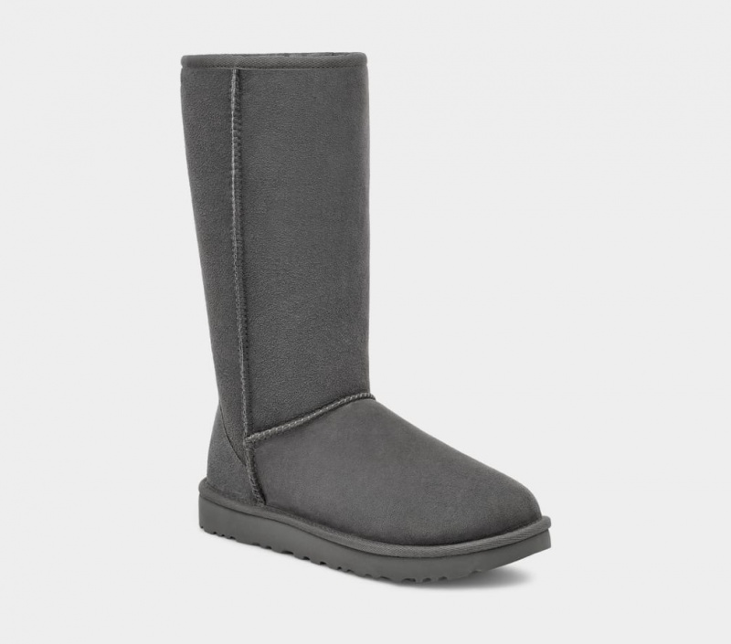 Cizme Ugg Clasici Cizme Inalte II Dama Gri | 5410IJSMQ