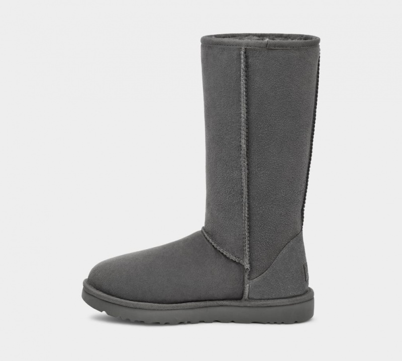 Cizme Ugg Clasici Cizme Inalte II Dama Gri | 5410IJSMQ