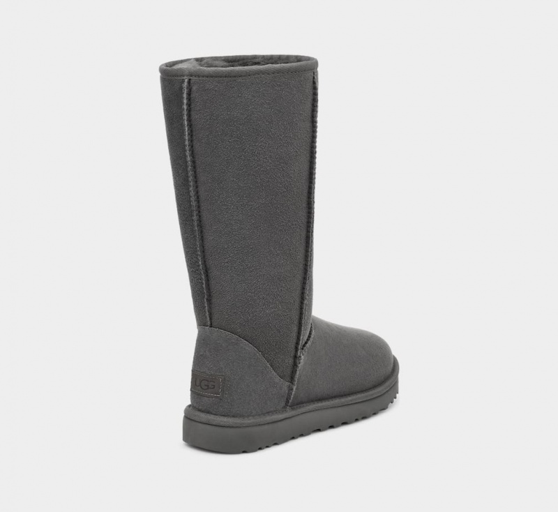 Cizme Ugg Clasici Cizme Inalte II Dama Gri | 5410IJSMQ