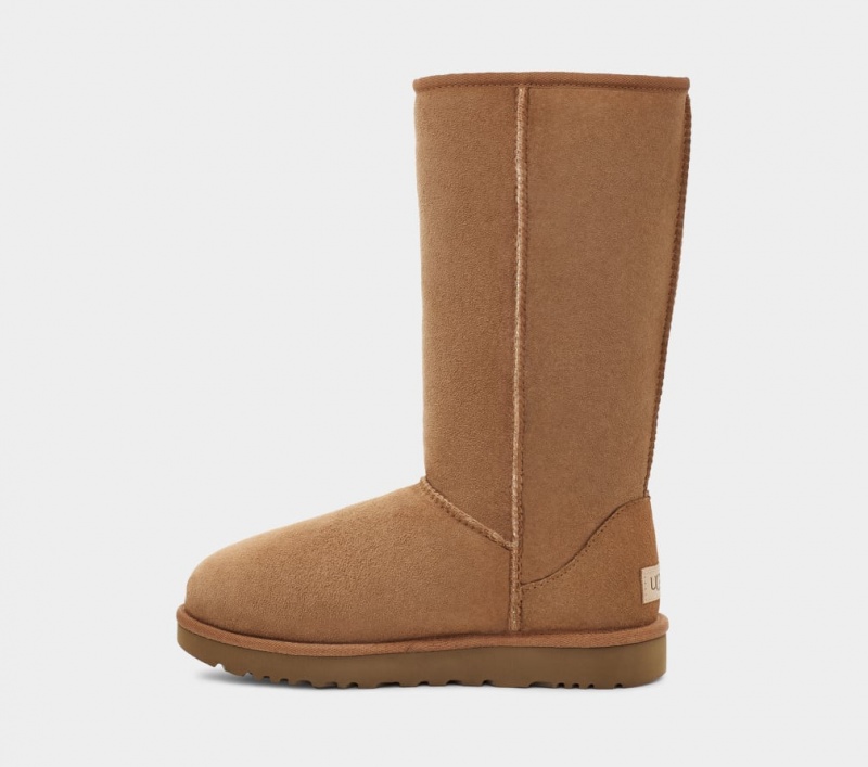 Cizme Ugg Clasici Cizme Inalte II Dama Maro | 9814WASXP