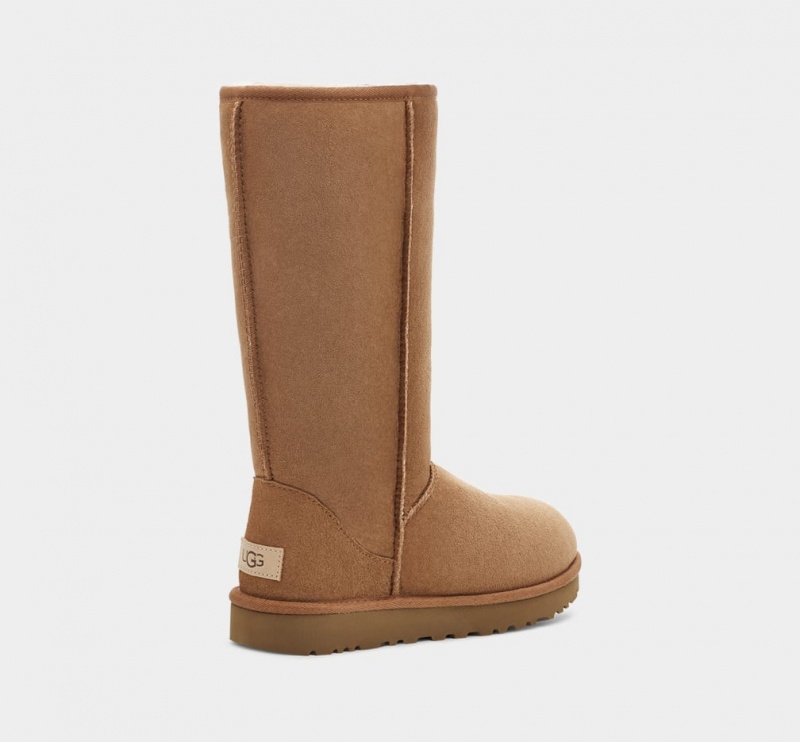 Cizme Ugg Clasici Cizme Inalte II Dama Maro | 9814WASXP