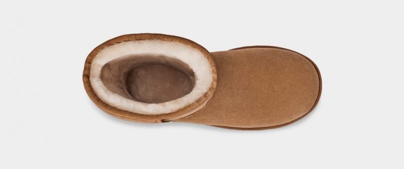 Cizme Ugg Clasici Cizme Inalte II Dama Maro | 9814WASXP