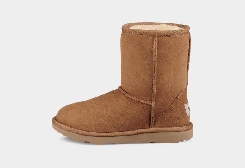 Cizme Ugg Clasici II Copii Maro | 8302BXHVL