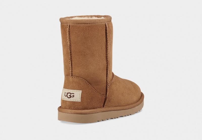 Cizme Ugg Clasici II Copii Maro | 8302BXHVL