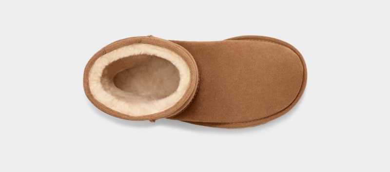 Cizme Ugg Clasici II Copii Maro | 8302BXHVL