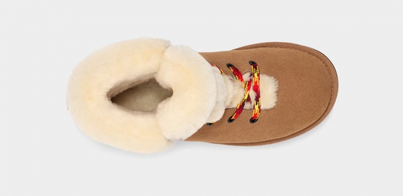 Cizme Ugg Clasici Mini Alpine Dantela Dama Maro | 0135PWJEA