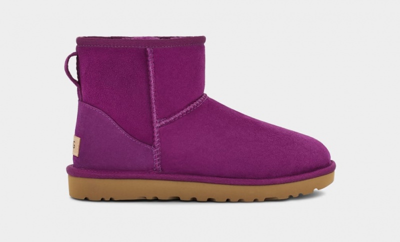 Cizme Ugg Clasici Mini II Dama Violet | 2531IZLXG