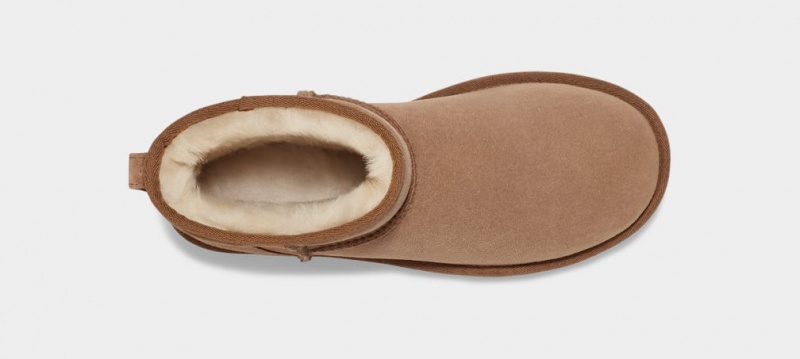 Cizme Ugg Clasici Mini Regenerate Dama Maro | 5486TBJMP