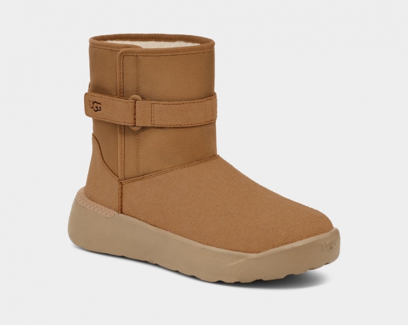 Cizme Ugg Clasici S Barbati Maro | 8756FRNVP