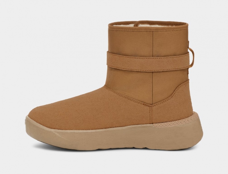 Cizme Ugg Clasici S Barbati Maro | 8756FRNVP