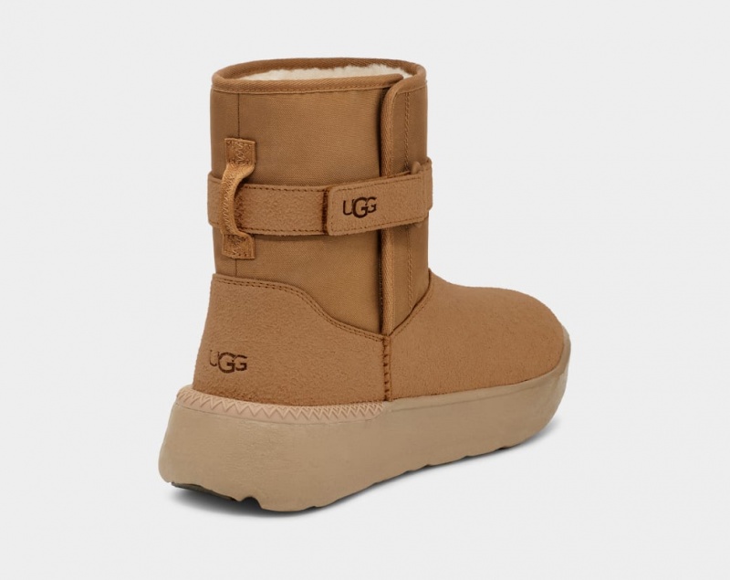 Cizme Ugg Clasici S Barbati Maro | 8756FRNVP