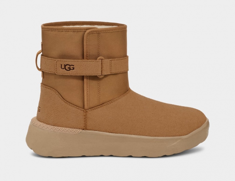 Cizme Ugg Clasici S Barbati Maro | 8756FRNVP