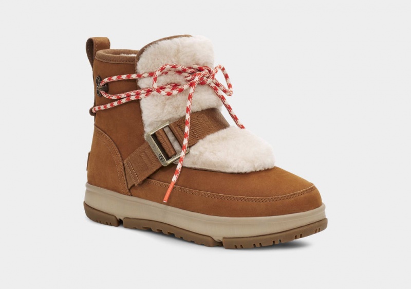 Cizme Ugg Clasici Weather Hiker Dama Maro | 7394RTDLW