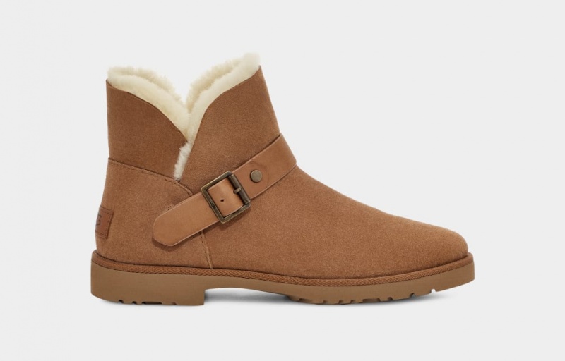 Cizme Ugg Romely Cu Catarama Dama Maro | 3648UMDQE