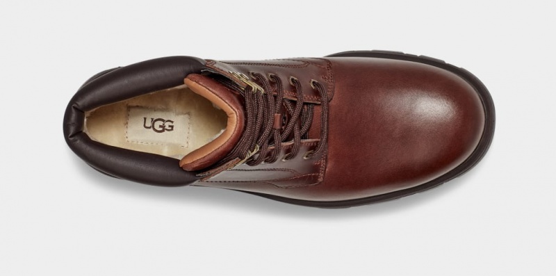 Cizme Ugg Stenton Barbati Maro | 3576GZQSX