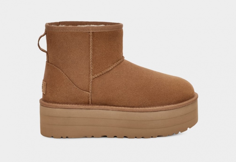 Cizme cu Platforma Ugg Clasici Mini Dama Maro | 4297HKBIU