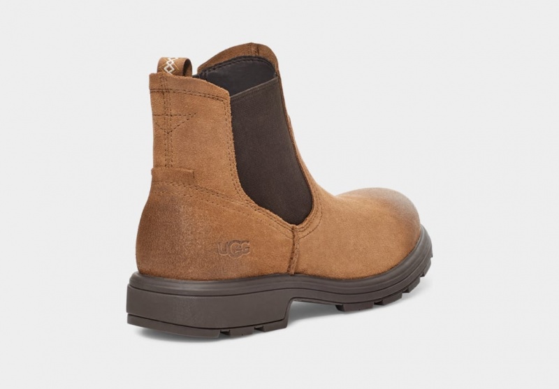 Ghete Chelsea Ugg Biltmore Barbati Maro | 2584IBKNF