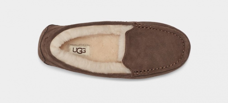 Mocasini Ugg Ansley Dama Ciocolata | 1903XSCDY