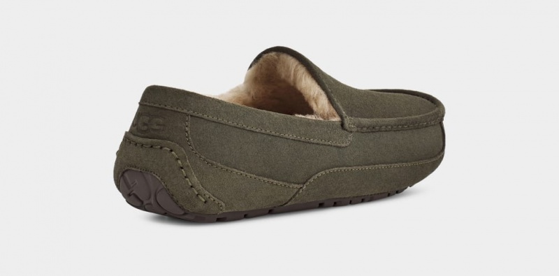 Mocasini Ugg Ascot Barbati Gri | 0215ZNROJ