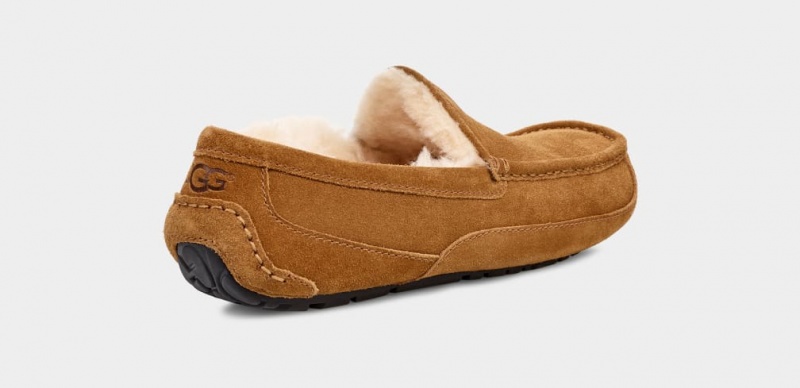 Mocasini Ugg Ascot Barbati Maro | 1803PEKVY