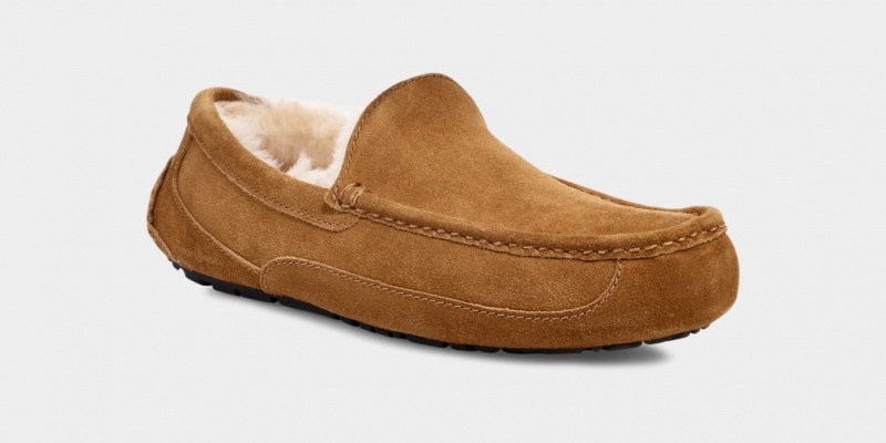 Mocasini Ugg Ascot Barbati Maro | 1803PEKVY