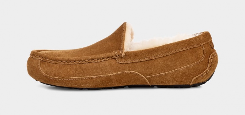 Mocasini Ugg Ascot Barbati Maro | 1803PEKVY