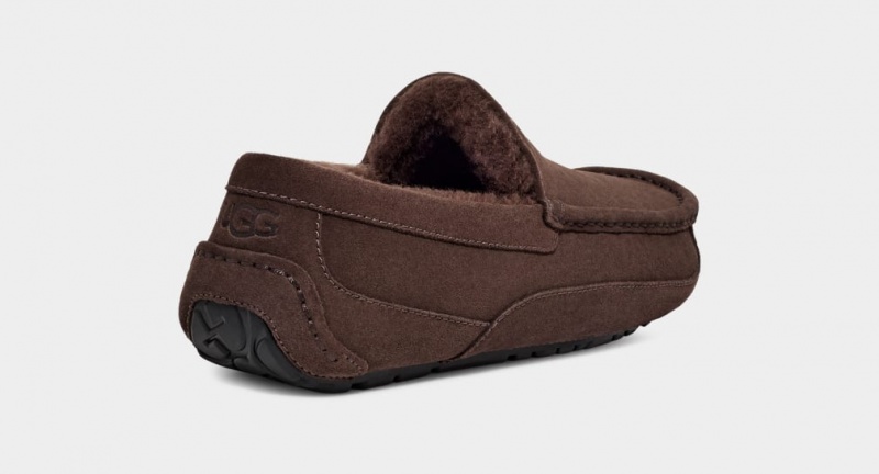 Mocasini Ugg Ascot Barbati Maro | 6257UXDFC