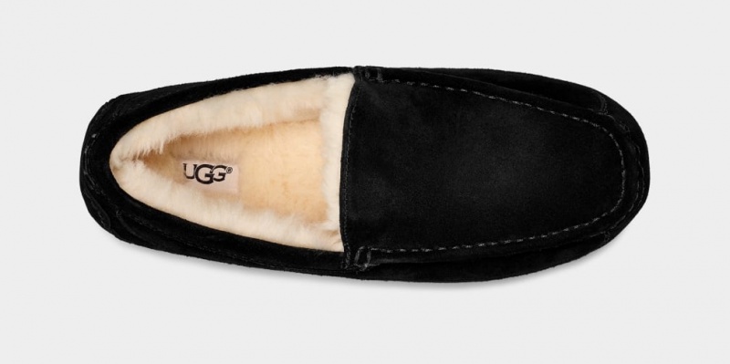 Mocasini Ugg Ascot Barbati Negrii | 9435DWMYG