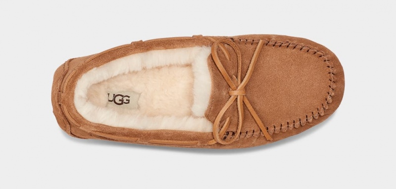 Mocasini Ugg Olsen Barbati Maro | 0768HQYWN