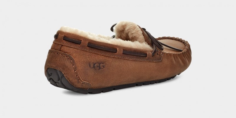 Mocasini Ugg Olsen Barbati Maro | 3165HXNRU