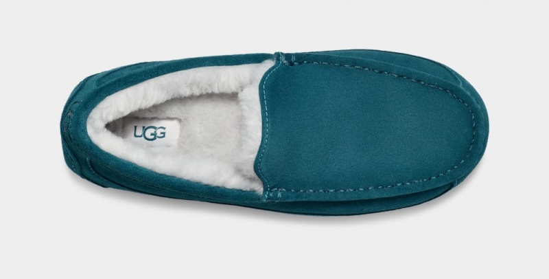 Papuci Ugg Ascot Barbati Albastri | 7489UQKWZ