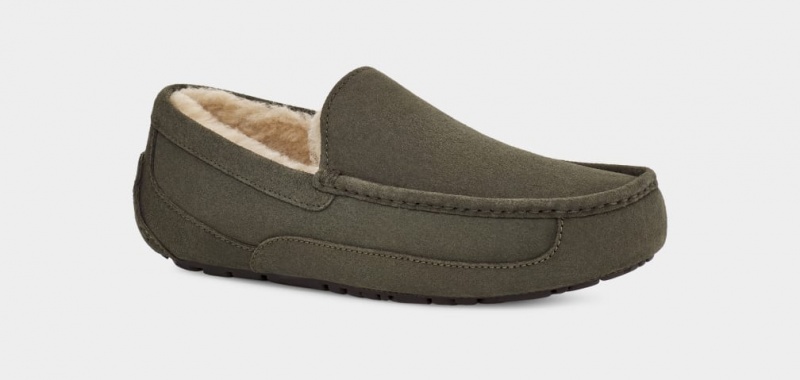 Papuci Ugg Ascot Barbati Gri | 1873VURWY