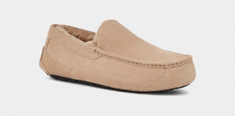 Papuci Ugg Ascot Barbati Maro | 2319CYQDL