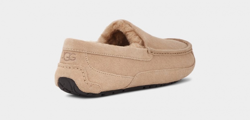 Papuci Ugg Ascot Barbati Maro | 2319CYQDL