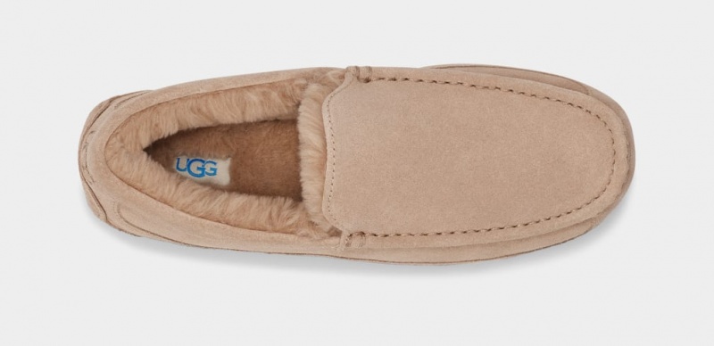 Papuci Ugg Ascot Barbati Maro | 2319CYQDL