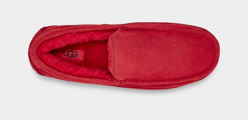 Papuci Ugg Ascot Barbati Rosii | 0198JBYFU