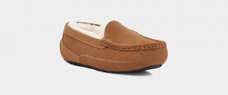 Papuci Ugg Ascot Copii Maro | 3170PZKAM