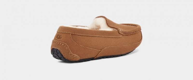 Papuci Ugg Ascot Copii Maro | 3170PZKAM