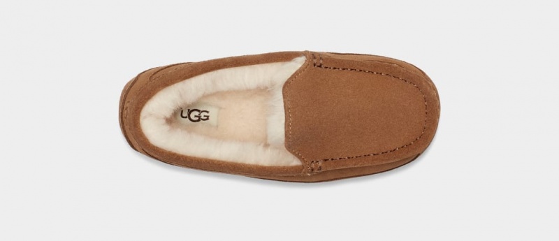 Papuci Ugg Ascot Copii Maro | 3170PZKAM